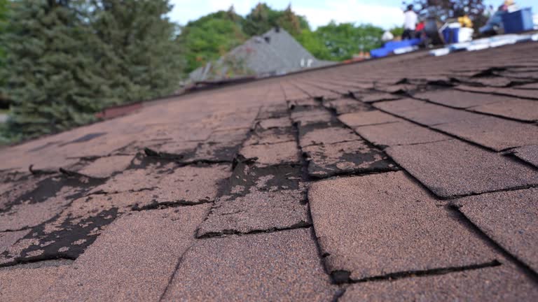 Best Slate Roofing  in Arlington, TN
