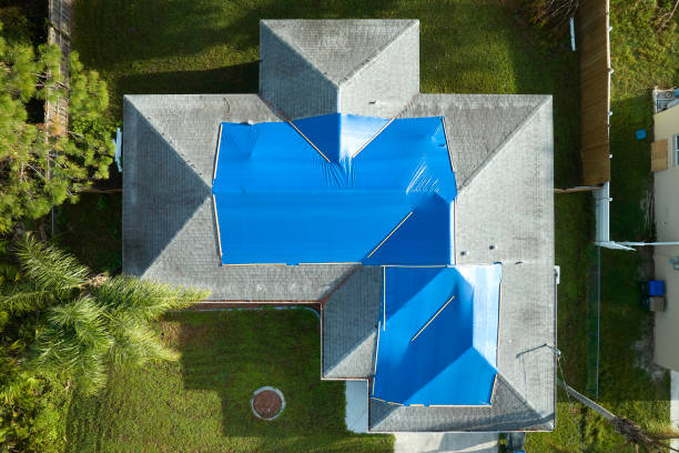 Best Solar Panel Roofing Installation  in Arlington, TN