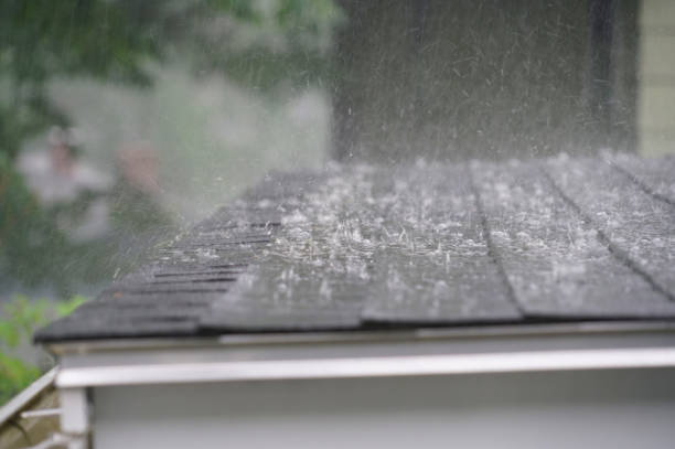 Best Roof Maintenance and Cleaning  in Arlington, TN